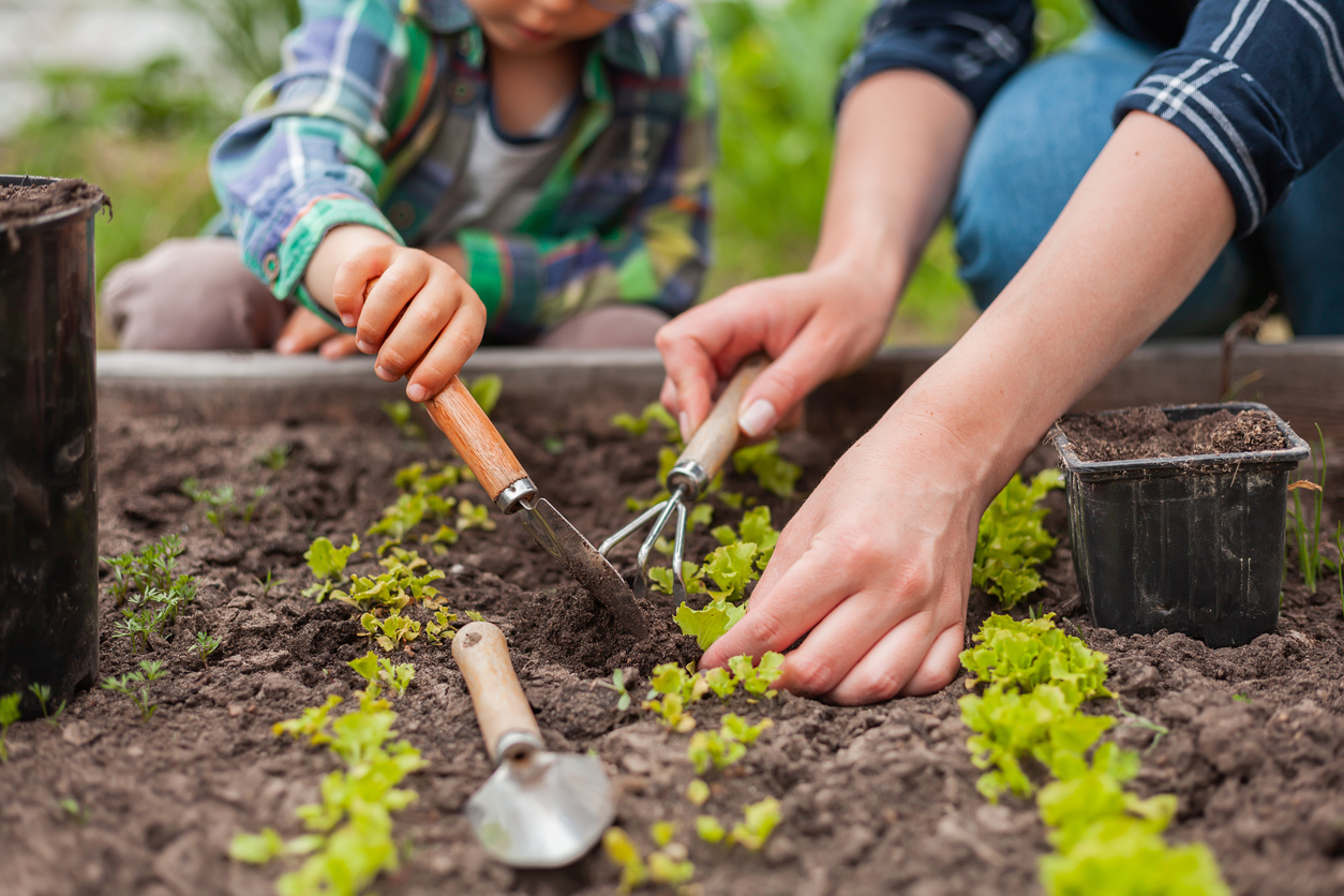 A parent and child tending the soil in their garden
